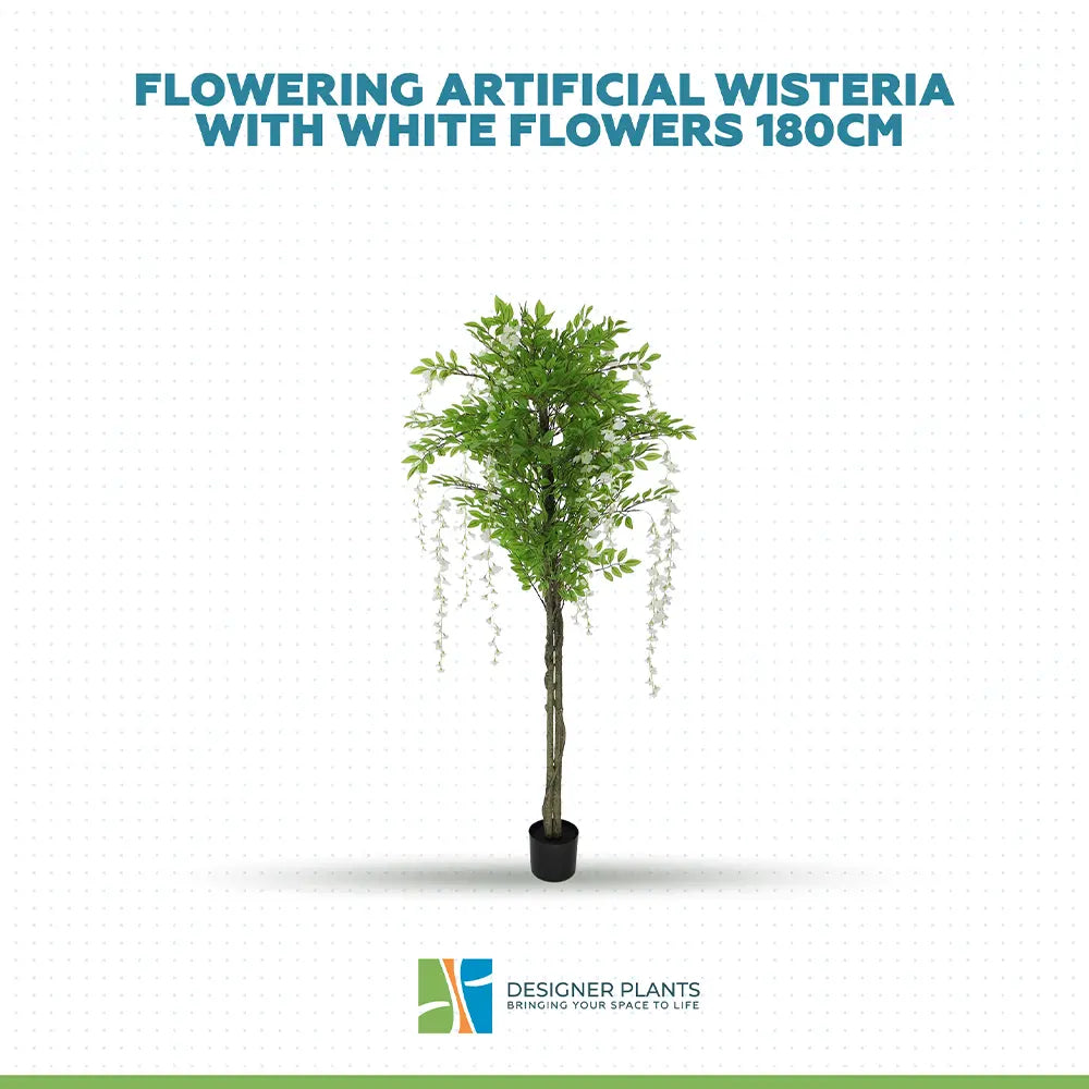 Flowering Artificial Wisteria with White Flowers 180cm