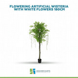 Flowering Artificial Wisteria with White Flowers 180cm