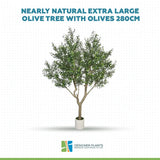 Nearly Natural Extra Large Olive Tree with Olives 280cm