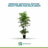 Premium Artificial Potted Multi-trunk Fan Palm 180cm