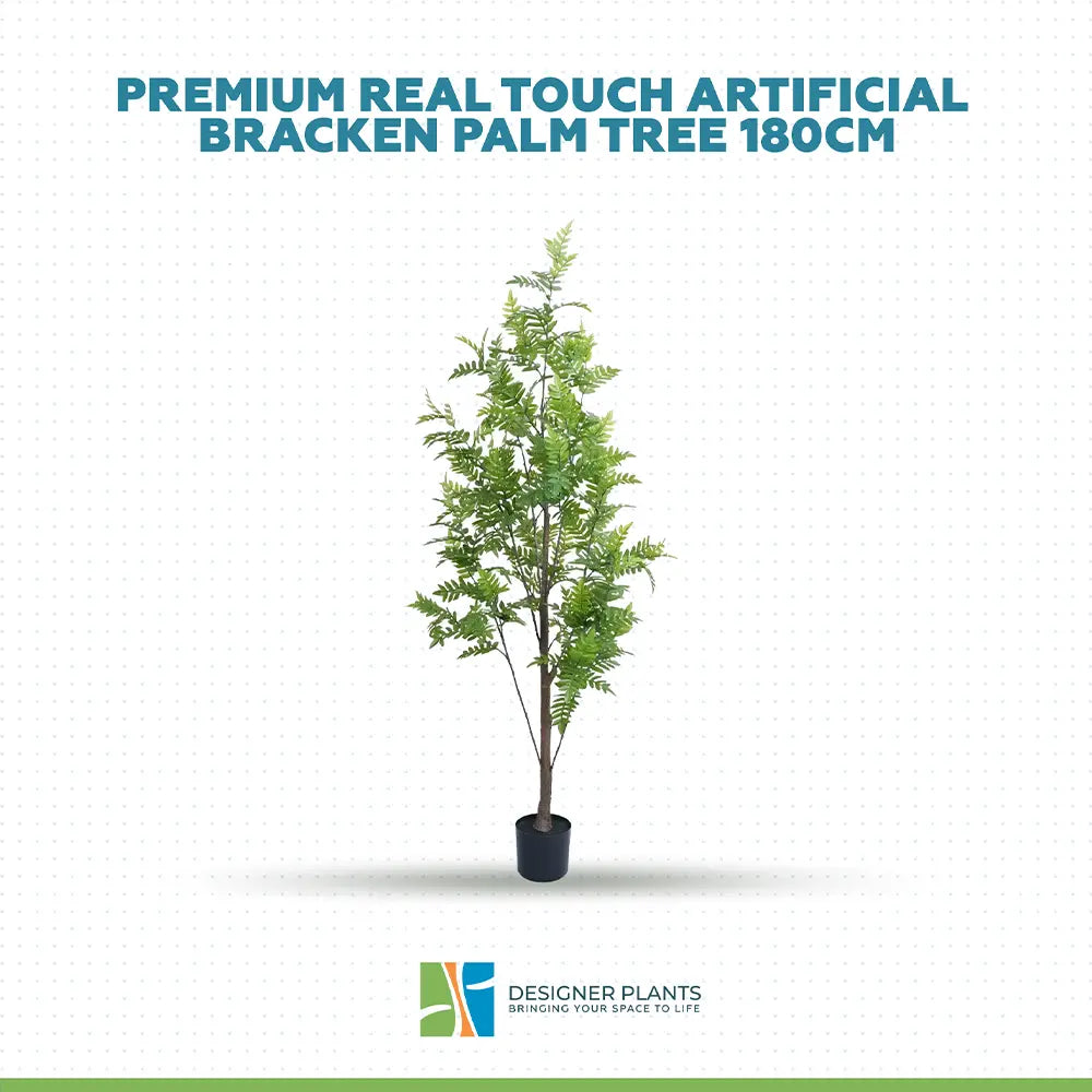 Premium Real Touch Artificial Bracken Palm Tree 180cm