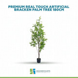 Premium Real Touch Artificial Bracken Palm Tree 180cm