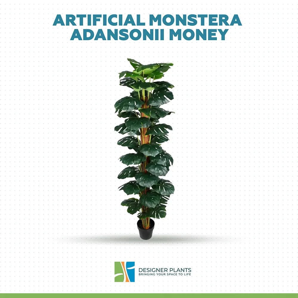 Artificial Monstera Adansonii Money Plant With Decorative Pot 180cm