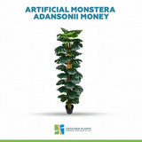 Artificial Monstera Adansonii Money Plant With Decorative Pot 180cm