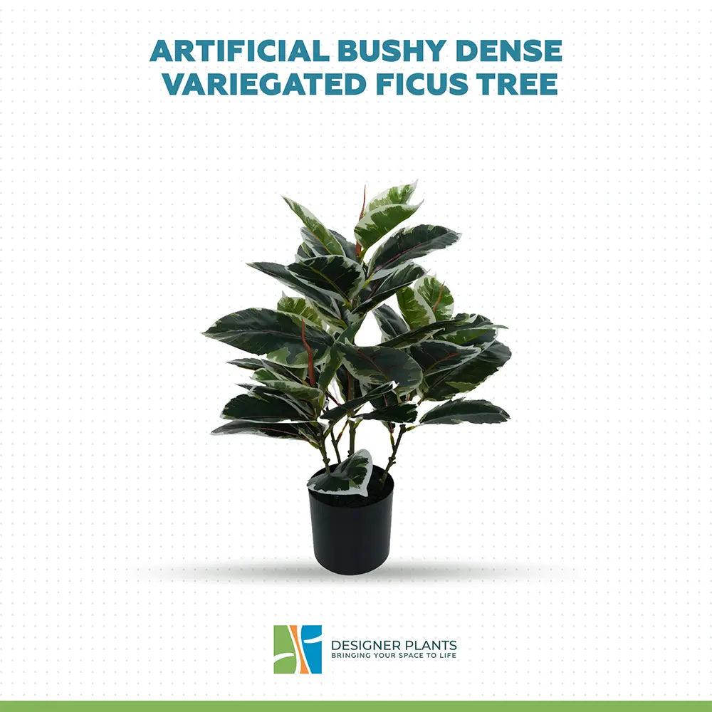 Artificial Bushy Dense Variegated Ficus Tree (Rubber Tree) 50cm
