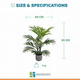 Premium Artificial Potted Premium Mini Palm Tree 55cm