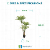 Artificial Parlour Palm Tree 180cm Multi Trunk UV Resistant