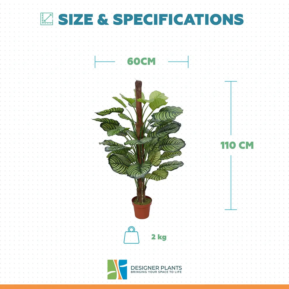 Artificial Calathea Plant in Pot 110cm