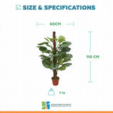 Artificial Calathea Plant in Pot 110cm