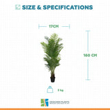Premium Artificial Areca Palm Tree Real Touch 160cm