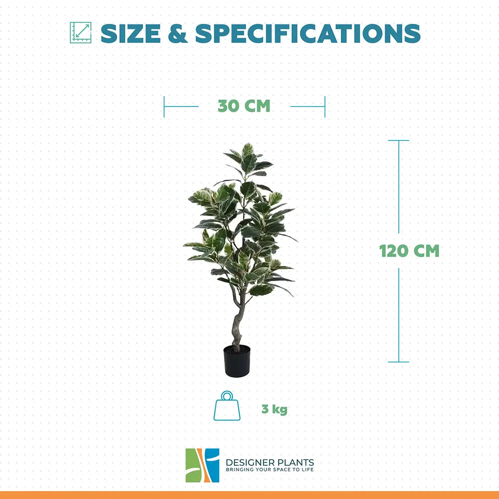 Artificial Bushy Variegated Ficus Tree (Rubber Tree) 120cm