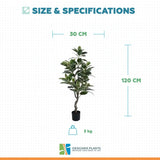 Artificial Bushy Variegated Ficus Tree (Rubber Tree) 120cm