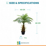 Artificial Phoenix Palm Tree 80cm