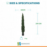 Artificial Cypress Pine Tree UV Resistant  2.1M