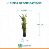 Premium Artificial Snake Plant (Sansevieria) 150cm UV Resistant
