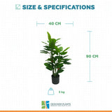 Premium Artificial Cordyline Fructicosa Green / Ti Plant 90cm