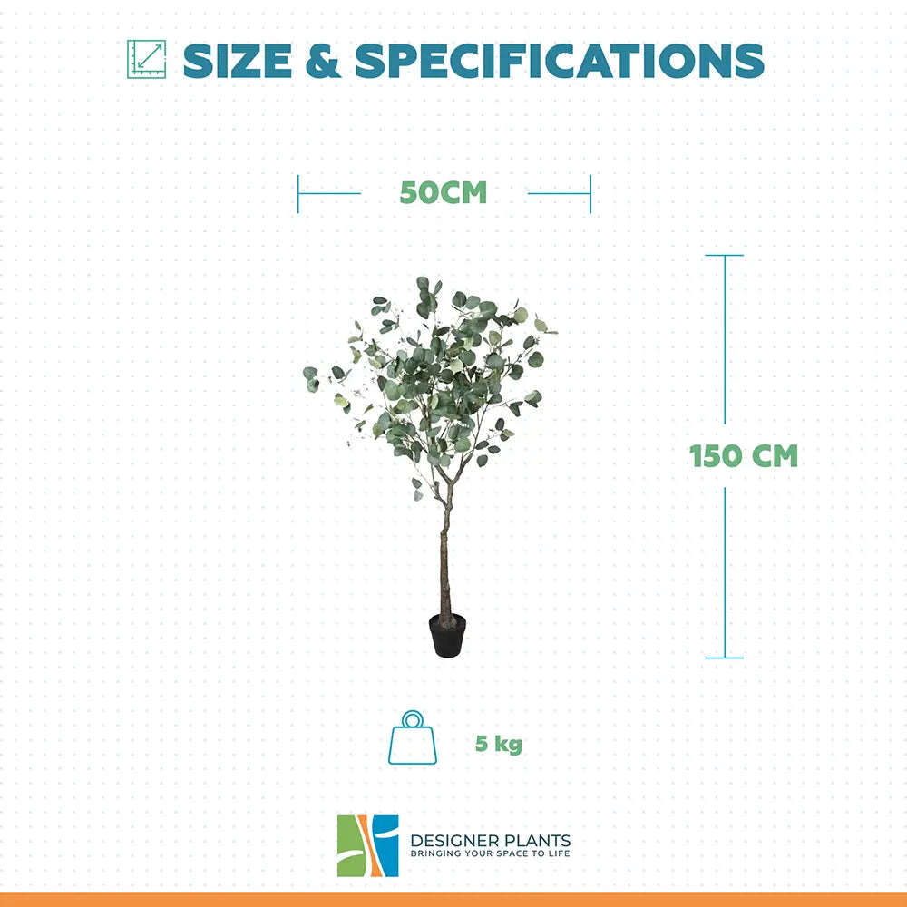 Artificial Eucalyptus Tree (Red Box Eucalyptus Polyanthemos) 150cm