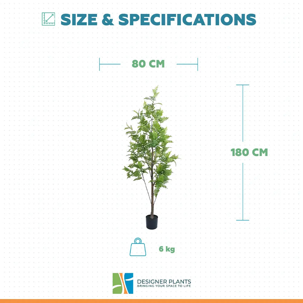 Premium Real Touch Artificial Bracken Palm Tree 180cm