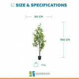 Premium Real Touch Artificial Bracken Palm Tree 180cm