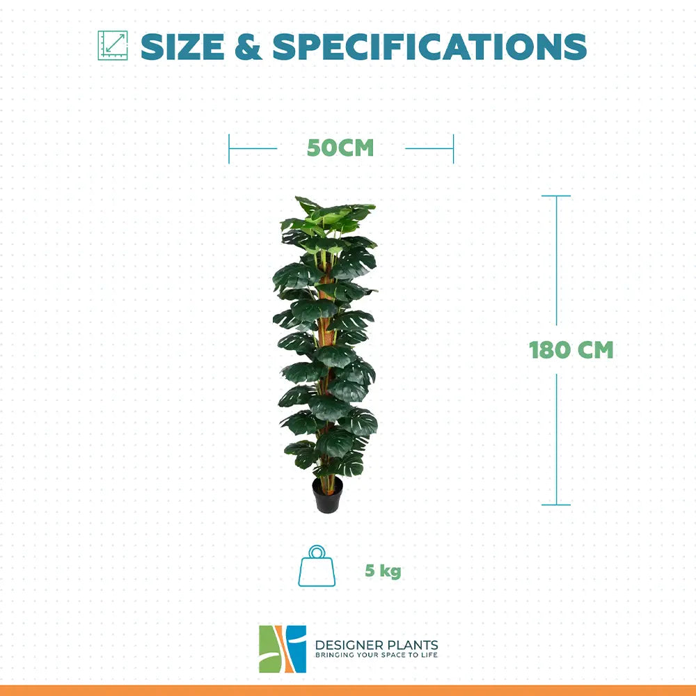 Artificial Monstera Adansonii Money Plant With Decorative Pot 180cm