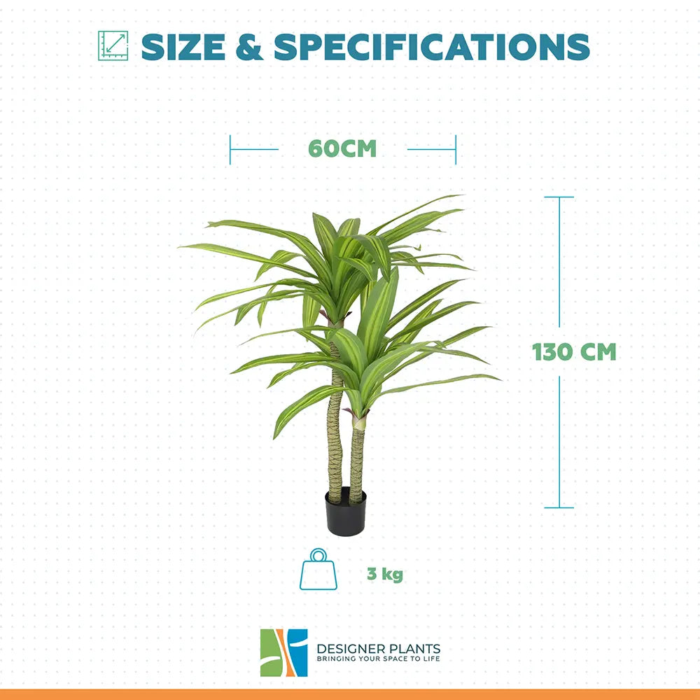 Artificial Multi Head Dracaena Tree with Mixed Green Leaves (Real Touch) 130cm