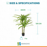 Artificial Multi Head Dracaena Tree with Mixed Green Leaves (Real Touch) 130cm