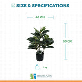 Artificial Bushy Dense Variegated Ficus Tree (Rubber Tree) 50cm