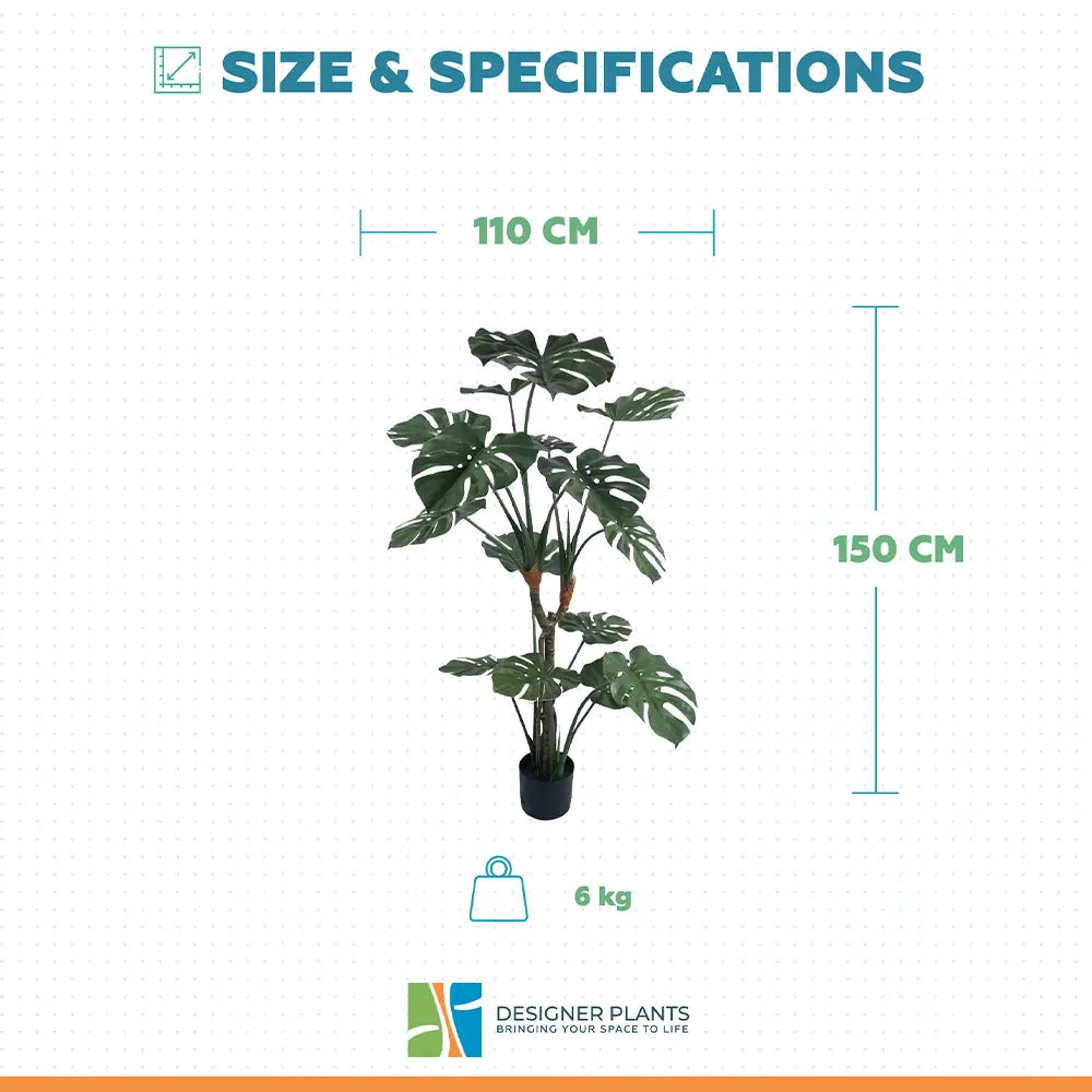 Premium Potted Split Leaf Monstera / Philodendron 150cm UV Resistant