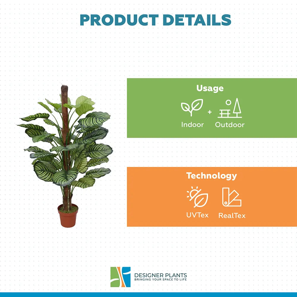 Artificial Calathea Plant in Pot 110cm