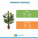 Artificial Calathea Plant in Pot 110cm