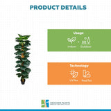 Artificial Monstera Adansonii Money Plant With Decorative Pot 180cm