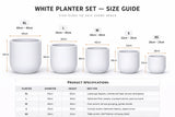 Luxury Egg-Shaped Ovate Planter Set of 5 | Premium Pot Range - Matt White