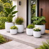 Luxury Egg-Shaped Ovate Planter Set of 5 | Premium Pot Range - Matt White