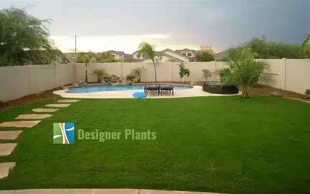 Before – Australian’s love their fences, however, sometimes they look very plain (prior to ivy install)