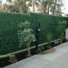 Outside With Statue and Green Wall Plants