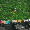 Hair dressing salon green wall