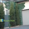 Artificial Hedges Being Installed2