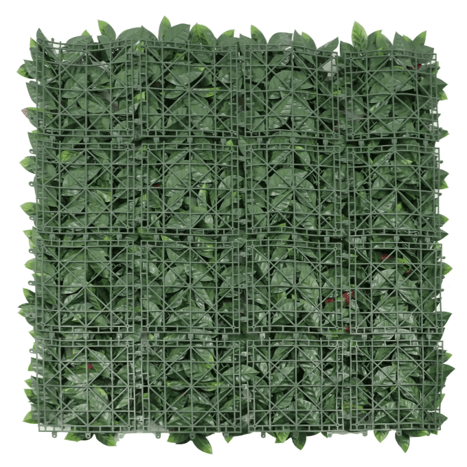 Back Profile of Photinia Vertical Garden