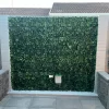 Lush allure of the outdoors with Boston Ivy Panel