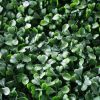 Boxwood Hedge Screen Green Wall Panel UV Resistant 100cm x 100cm
