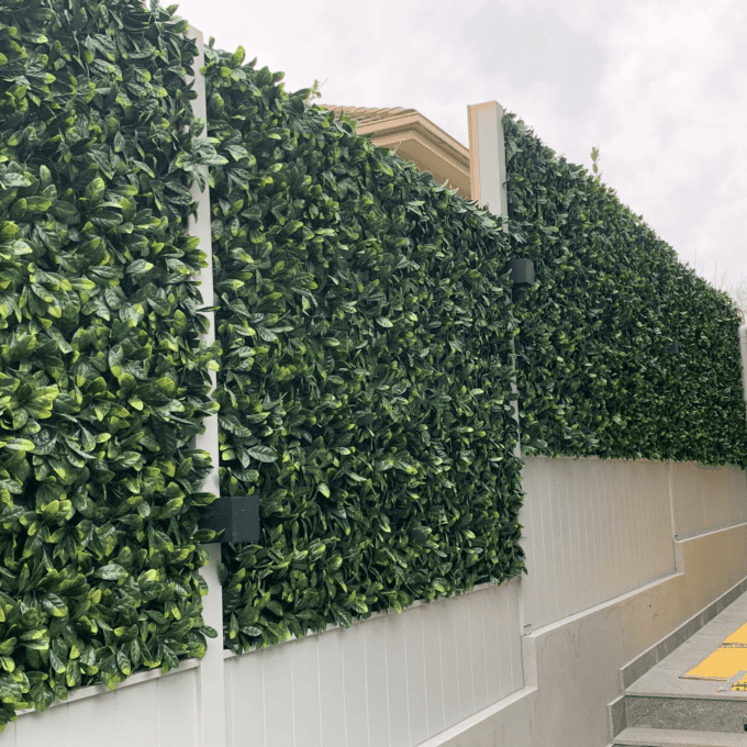 Laurel Hedge