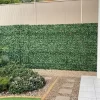 Photinia Red Robin Wall Feature