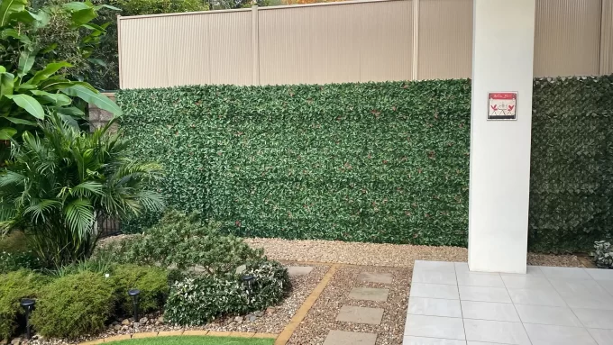 Photinia Red Robin Wall Feature