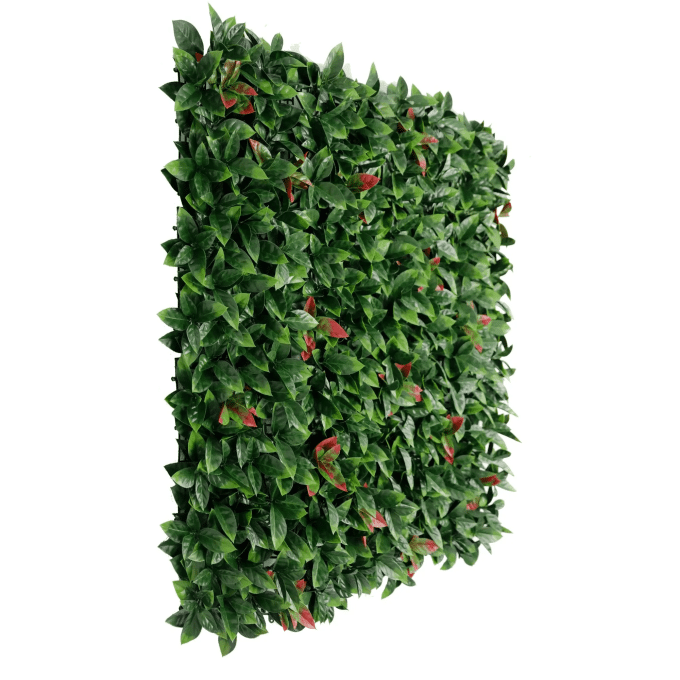 Side Profile or Photinia Vertical Garden