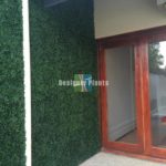 Boxwood hedge
