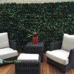 photinia leaf artificial hedges