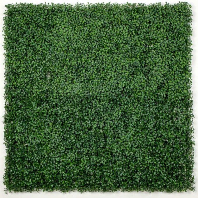 Fake Boxwood Hedge Leaf Screens Panels UV Resistant SAMPLE