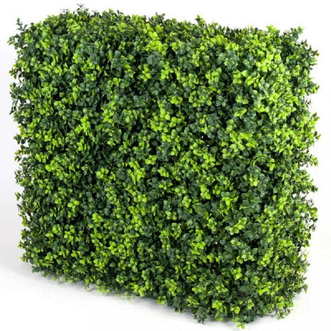 artificial elm hedge for events