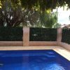 Pool With Artificial Plants
