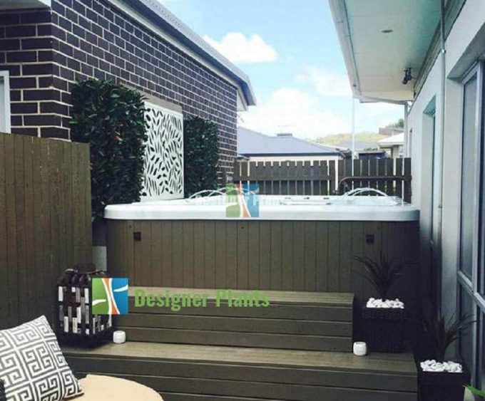 Mini Pool With Artificial Plants